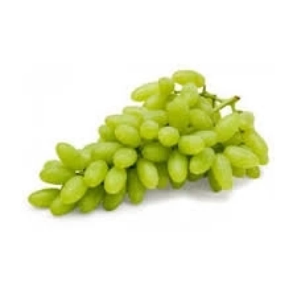 UVA THOMPSOM BD 500GR