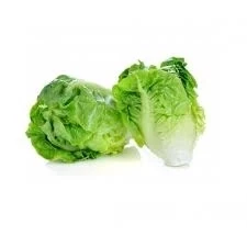 ALFACE ROMANA BABY UND