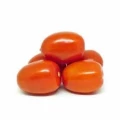 TOMATE ANDREA  KG 